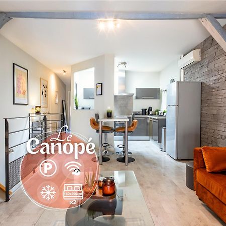 Le Canope - T3 Duplex, 2 Salles D'Eau, Hypercentre Castres  Exteriér fotografie