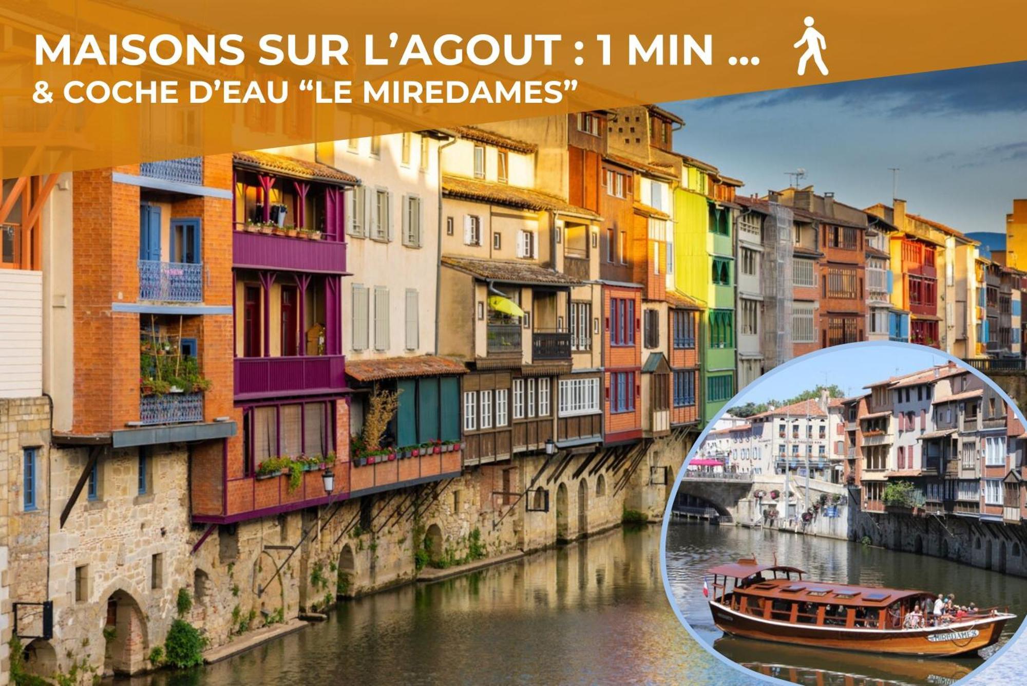 Le Canope - T3 Duplex, 2 Salles D'Eau, Hypercentre Castres  Exteriér fotografie
