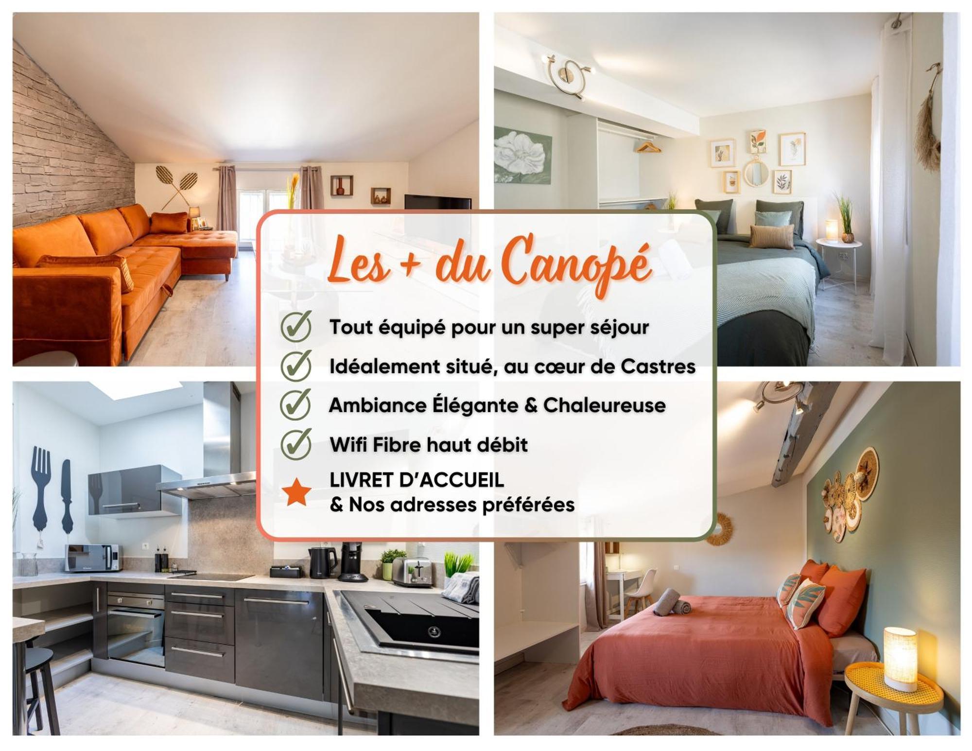 Le Canope - T3 Duplex, 2 Salles D'Eau, Hypercentre Castres  Exteriér fotografie
